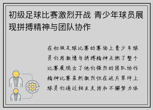 初级足球比赛激烈开战 青少年球员展现拼搏精神与团队协作