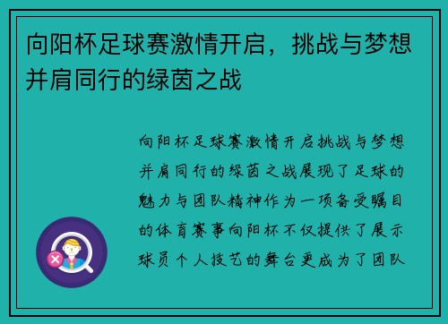 向阳杯足球赛激情开启，挑战与梦想并肩同行的绿茵之战